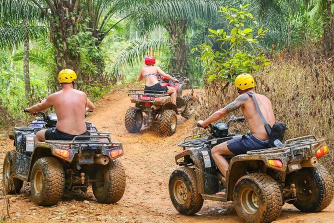 ATV quad biking jungle trail