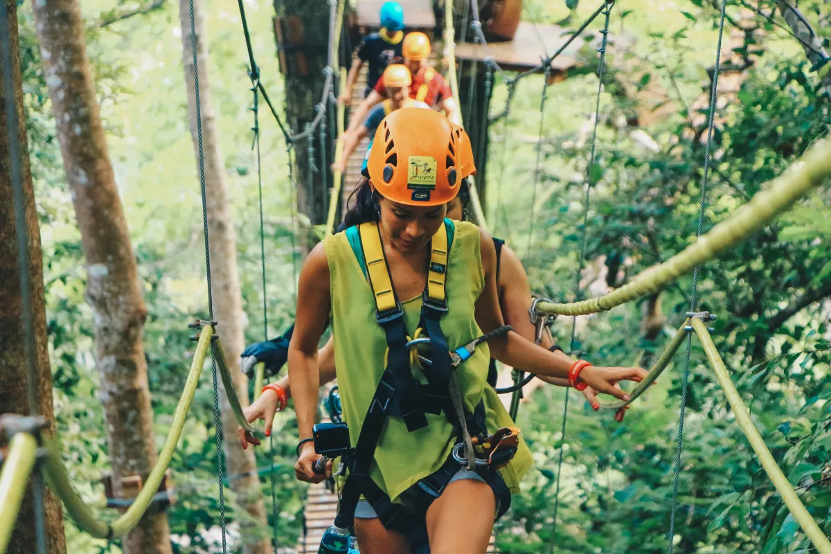 Zipline jungle canopy